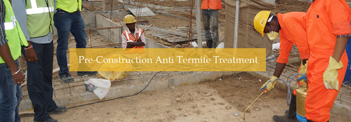 Termite Proofing in Karachi